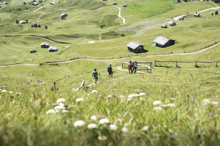 hikers go down a path. Dolomites, Alps, Italyのeditorial素材