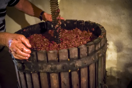 Winemaking. Old wooden wine press with must inside. Pressing of grapes for red wineの写真素材
