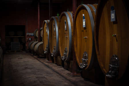 Wooden barrels for wine aging in the cellar. Italian wine.