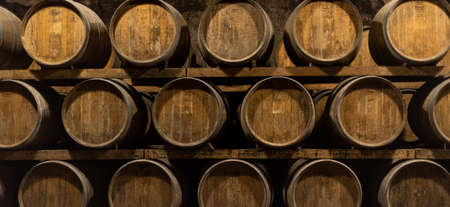 Wooden barrels for wine aging in the cellar. Italian wine.