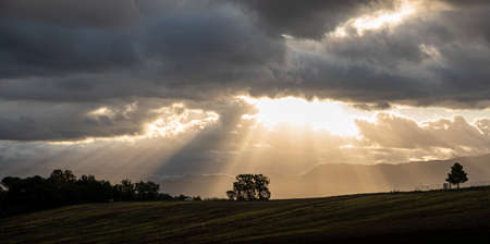 Beautiful sunrise with sun rays breaking through the clouds illuminating a tree. Concept of serenity and peace. Backgroundの写真素材