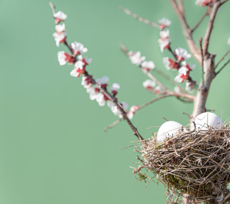 True nest with eggs among the flowering branches. Concept of Easter and spring