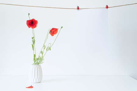 Blank white paper sheet mockup. Hanging sheet with ladybug clothespins on brown rope. White ceramic vase with beautiful wild poppy flowers. Summer still life scene.の写真素材
