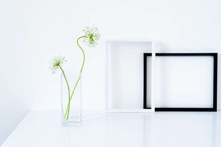Blank white frame overlaid with blank black frame. Two frames template with small white garlic flowers in glass vase over glossy white table. White background, minimal and elegant spaceの写真素材