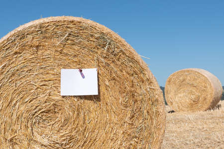 Summer stationery mockup scene. Blank signboard or greeting card hanging on the straw sheaf. Concept of joy, party and summer wedding. Copy spaceの写真素材