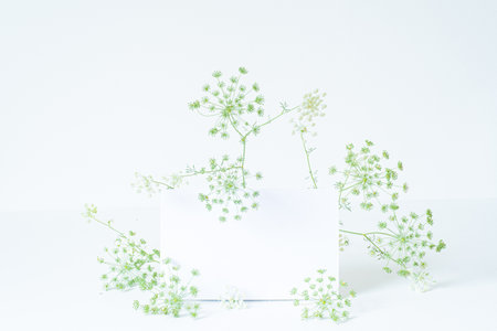 Invitation card, greeting card mockup. Blank white card framed by thick vegetation in the sunlight....