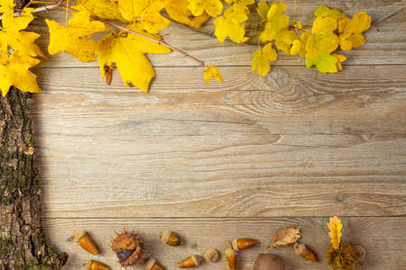 Blank winter frame. Acorns, chestnuts, tree bark and yellow leaves frame an empty space. Wooden background.Autumn conceptの写真素材