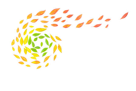 Twigs with autumn colored leaves on a white background. Autumn concept. Copy space, flat lay, top viewの写真素材