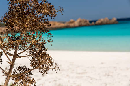 North Sardinia, Italyの写真素材