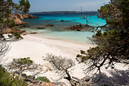 North Sardinia, Italyの写真素材