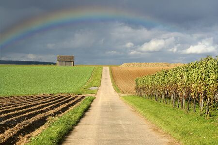 Beautiful rainbow at the end of the pathの写真素材