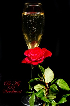 Champagne flute and red rose over black backgroundの写真素材