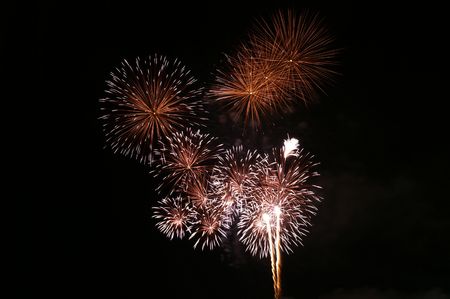 Large variety of different beautiful fireworks on dark sky