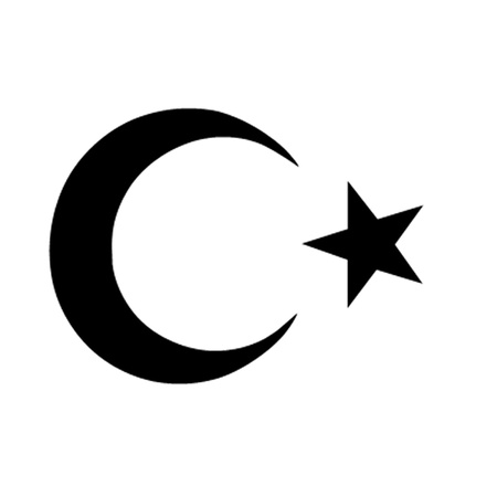 Crescent and Starのイラスト素材