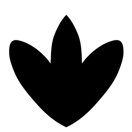 T Rex Footprintのイラスト素材