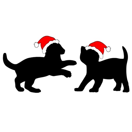Two Kittens in Christmas Hats のイラスト素材