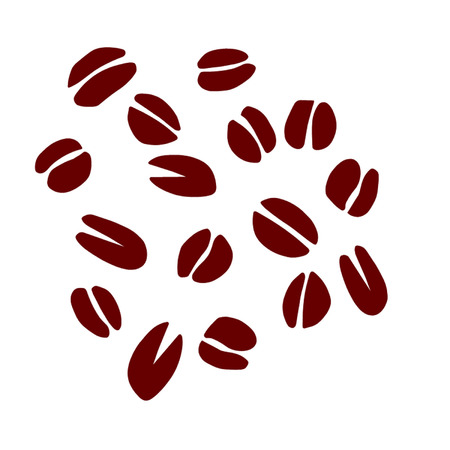 Coffee Beansのイラスト素材