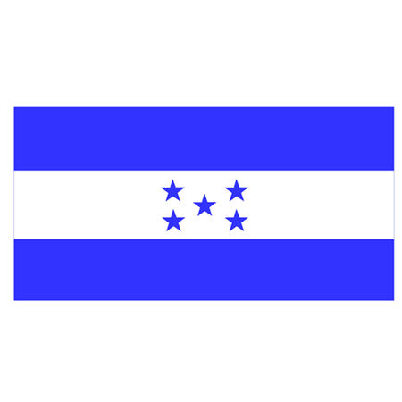 Flag of Hondurasのイラスト素材