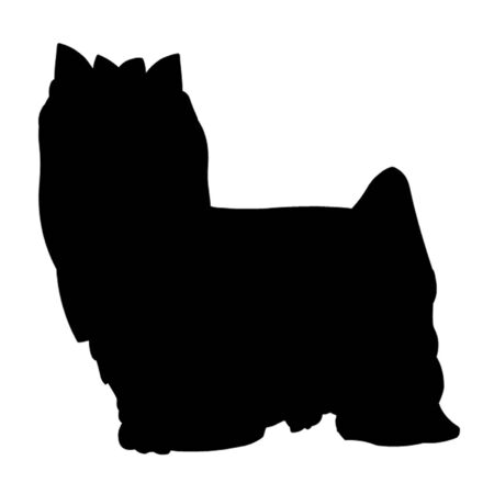 Yorkshire Terrierのイラスト素材