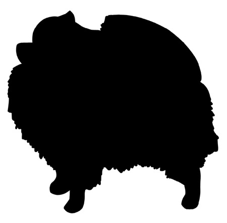 Pomeranian Dogのイラスト素材