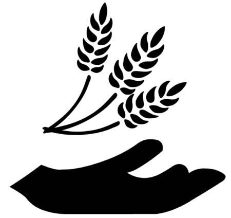 Wheatのイラスト素材