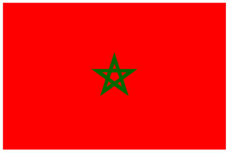 Flag of Moroccoのイラスト素材