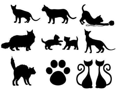 set of Catsのイラスト素材