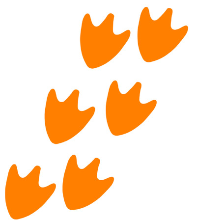 Track of Duck Feetのイラスト素材