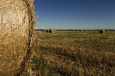 Closeup of an hayの写真素材