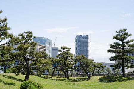 Skyscrapers and japanese garden in Tokyo Japanのeditorial素材