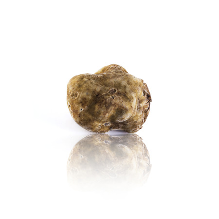 white truffle tuber magnatum pico from Alba, italyの写真素材