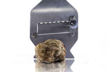 expensive white truffle from Alba and steel slicerの写真素材