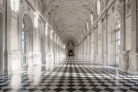 Interior gallery of royal palace of Venaria Reale in Piedmont.のeditorial素材
