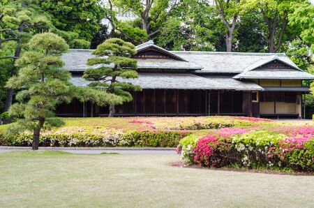 japanese traditional house in a park of Tokyo and flowersのeditorial素材