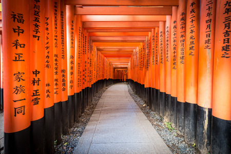 Path of oranges japanese gates in Fushimi Inari, kyotoのeditorial素材