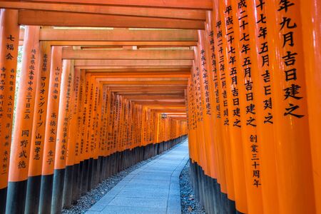 Path of oranges japanese gates in Fushimi Inari, kyotoのeditorial素材