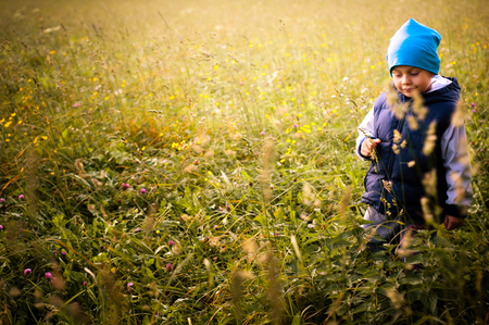 a child walks in the high grass, wearing a blue capの写真素材