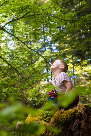 a child immersed  in the woods looks upの写真素材