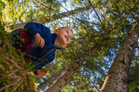 a child immersed
  in the woods looks upの写真素材