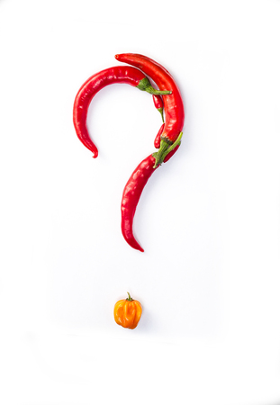 Question made with chillies on a white backgroundの写真素材