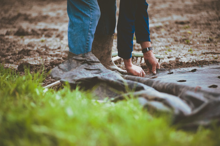 farmer with rake prepares the ground and the mulching towel in the spring