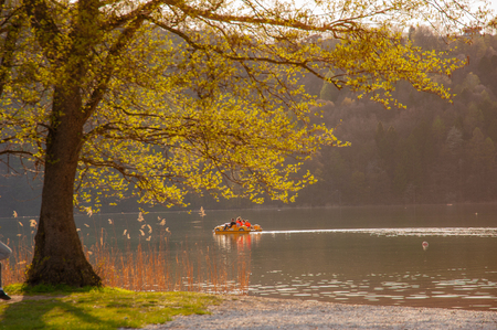 family in paddle boats on the lakeの写真素材