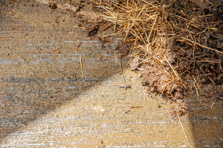 manure on the floor of the barn with a triangle of lightの写真素材