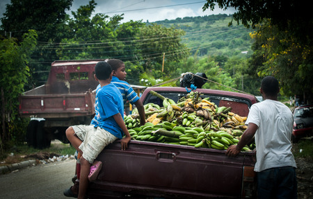 Bananas Marketのeditorial素材