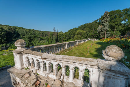 abandoned garden in the ukrainian forestの写真素材
