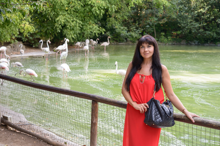 a nice girl posing and smile, in background flamingos in a little lakeの写真素材