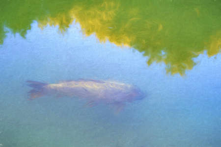 Photo of a fish  retouched to look like a paintingの写真素材