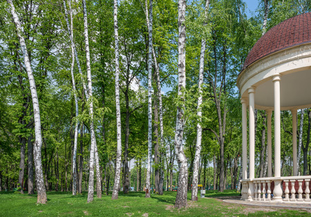 Nice ukrainian forest with a gazebo on the rightの写真素材