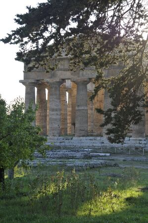 Paestum Temple, Campania, Italyの写真素材