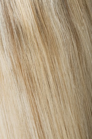 Rear view of blonde hair
